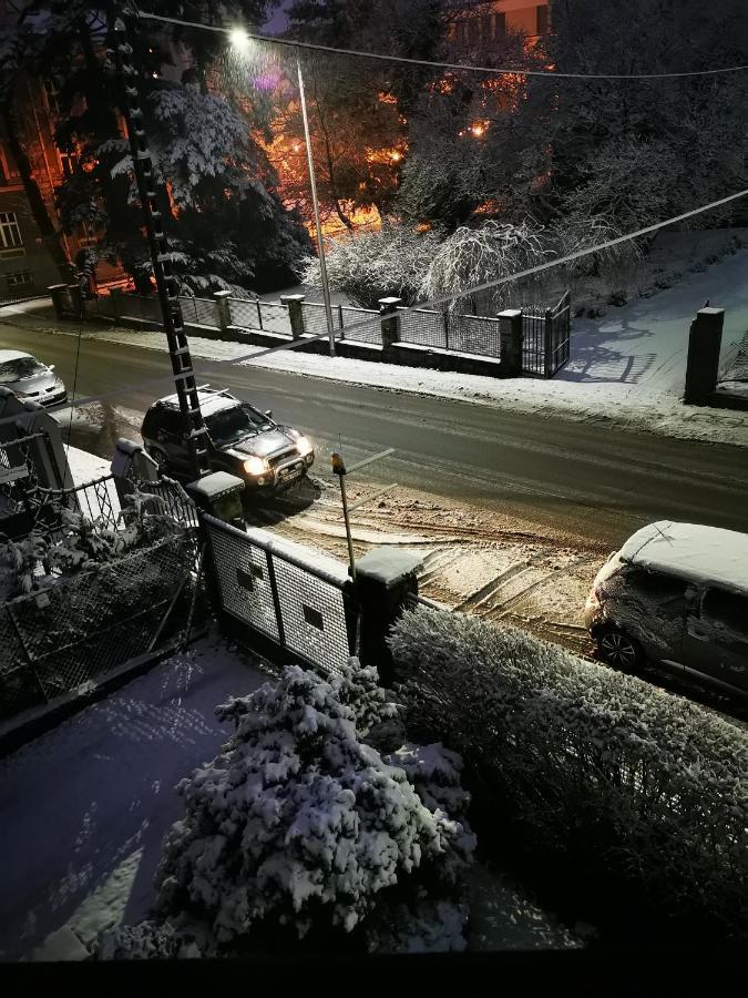Apartament Mario Bezplatny Parking ビエルスコ・ビアバ エクステリア 写真